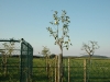 aug2008-041.jpg